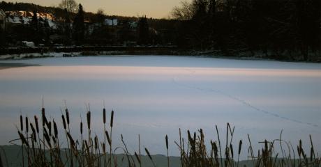 Empreintes sur le lac gelé
